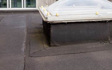 disadvantages of Wroxall flat roofs
